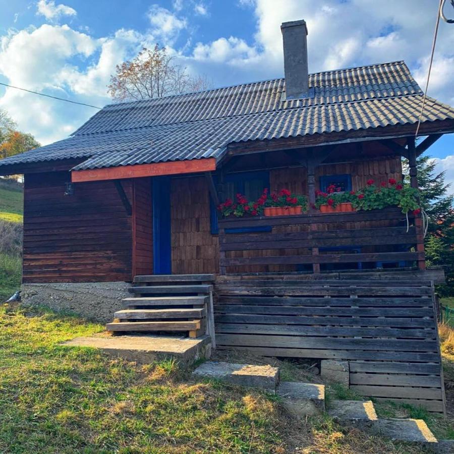 Casuta Mariei Villa Borsa  Kültér fotó