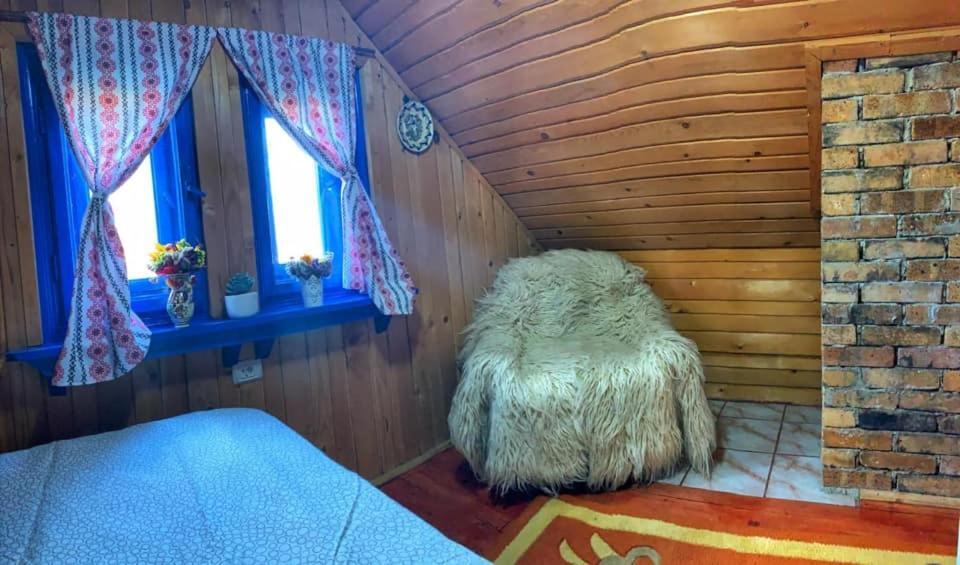 Casuta Mariei Villa Borsa  Kültér fotó